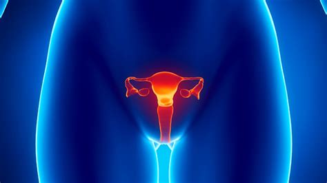 12 facts you should know about ovarian cysts | Fox News