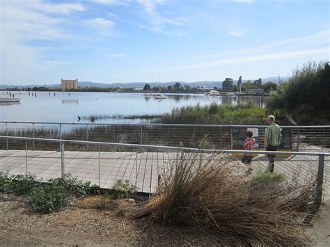 Waterfront Stillwater Launceston | Still water, Waterfront, Tasmania