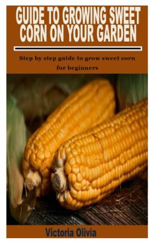 GUIDE TO GROWING SWEET CORN ON YOUR GARDEN: Step by step guide to grow sweet corn for beginners ...