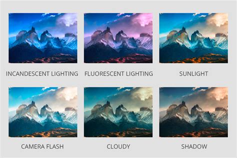 How to Set White Balance in Photoshop: 2 Methods