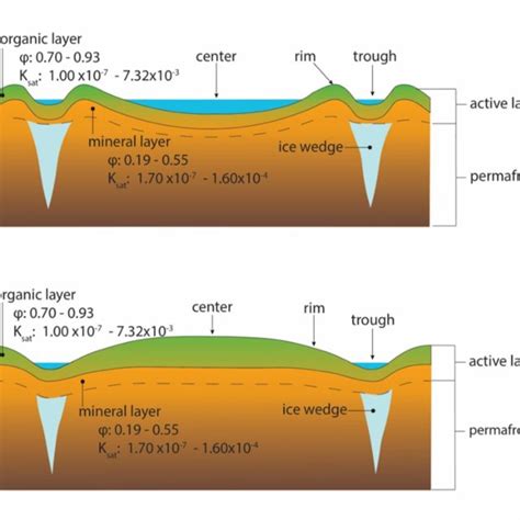 Conceptual diagram of tracer transport in ice-wedge polygons. Red ...