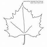 Maple Leaf Coloring Page sketch template
