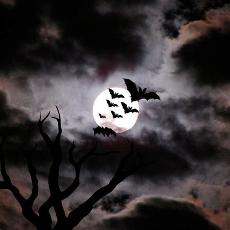 bats at night fantasy images | ... bats wallpaper hd halloween images of bats halloween bats ...