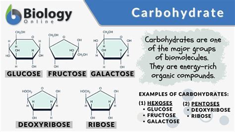 Carbohydrate Definition and Examples - Biology Online Dictionary