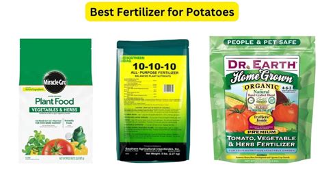 The 5 Best Fertilizers for Potatoes 2024