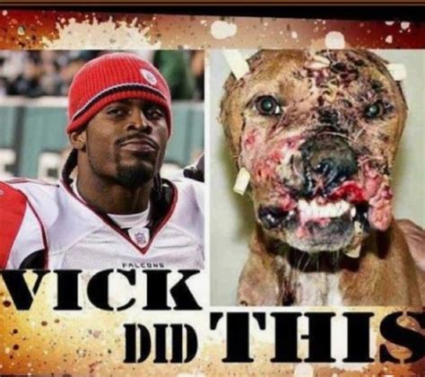 HBO’s new story on Michael Vick’s dogs is both uplifting and graphically violent – THE NEWS ...