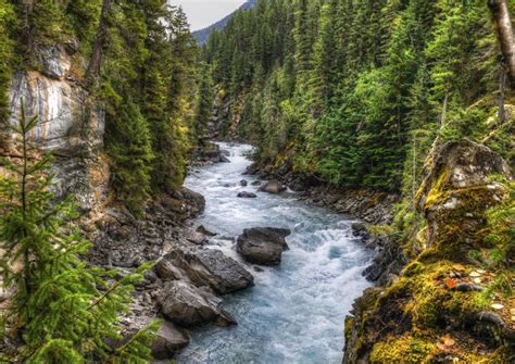 The Best Fraser River Tours & Tickets 2019 - Jasper | Viator