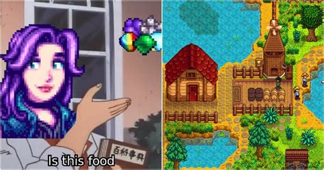 10 Hysterical Stardew Valley Logic Memes That Will Have You Crying Of Laughter