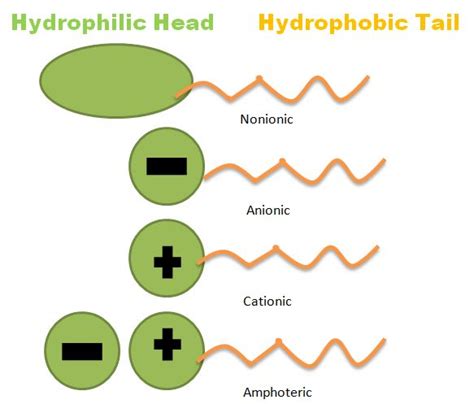 An Easy Guide to Understanding How Surfactants Work | IPC