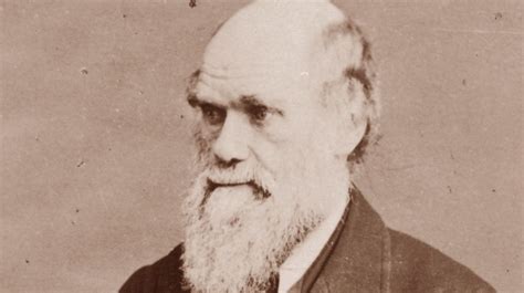 The Tragic Death Of Charles Darwin's Mother