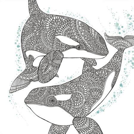 Orca Whale Coloring Page | FaveCrafts.com