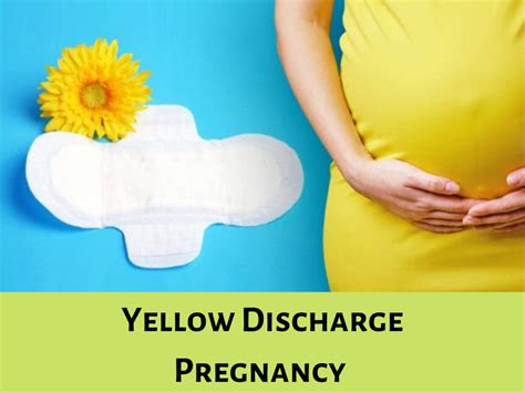 4 Solid Causes and Home Tips of Yellow Discharge Pregnancy