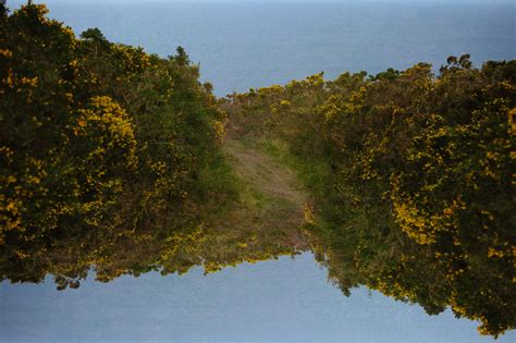 Killiney Hill Park | Adrian Oprea Photography