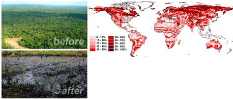 Habitat Loss - Endangered Animals