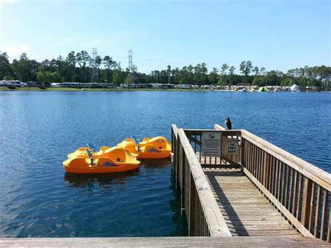 Flamingo Lake RV Resort in Jacksonville Florida FL | Campground Views