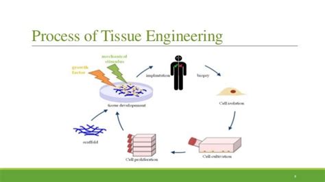 Tissue Engineering: Scaffold Materials