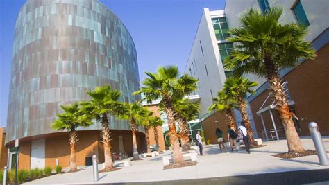 USF-area businesses deal with empty campus - Tampa Bay Business Journal