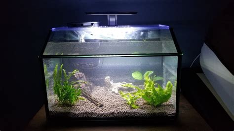 Aqueon 75 Gallon Led Shrimp Aquarium Kit - Aquarium Views