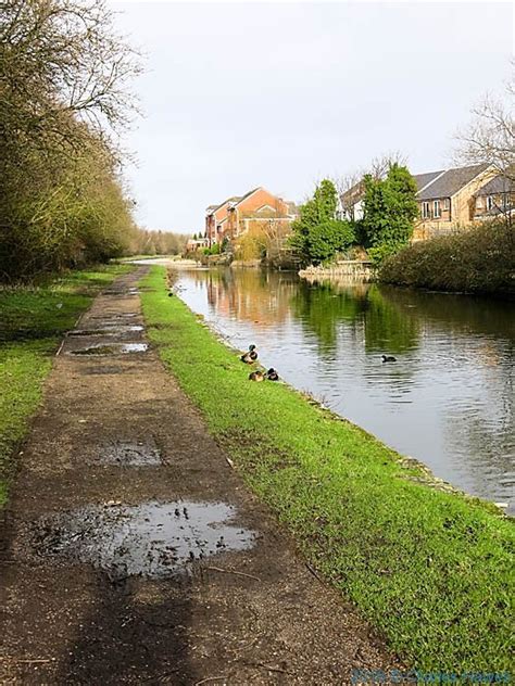 Leeds liverpool canal walk-59