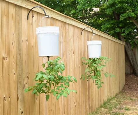 50 Brilliant Uses For a 5 Gallon Bucket | Hanging tomato plants, Tomato planter, Upside down ...