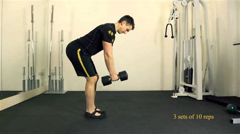 Bent Over Dumbbell Row - YouTube