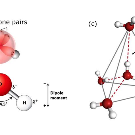 8: Left panel: different structure of ice I h (a) and I c (b) (figure... | Download Scientific ...