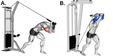 Standing cable overhead triceps extensions: (A) this posture generates... | Download Scientific ...