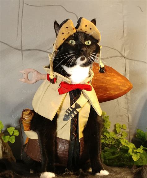 Cat Cosplay on Twitter: "Is it pawsible to crave adventure too much? # ...