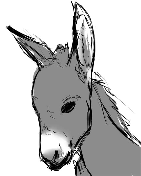 Simple Donkey Drawing | Free download on ClipArtMag