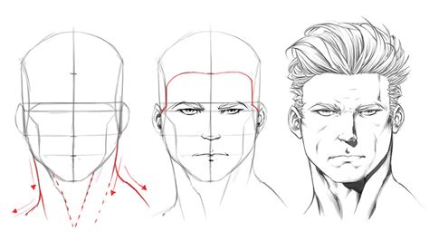 How to Draw The Front View of The Male Head