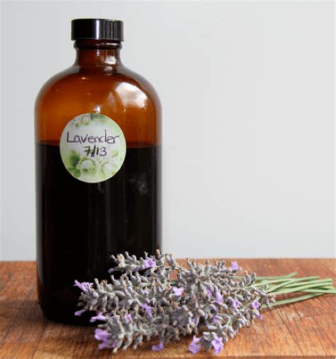 How to Make Lavender Extract - The Coconut Mama | Lavender recipes, Lavender extract, Lavender ...