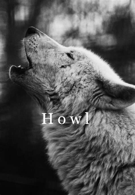Howl, cheer, because you are alive. You survived the war. Wolf Spirit, Spirit Animal, Wolf ...