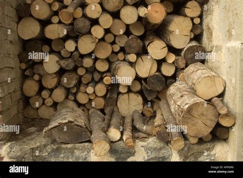 Firewood logs stacked in storage Stock Photo - Alamy