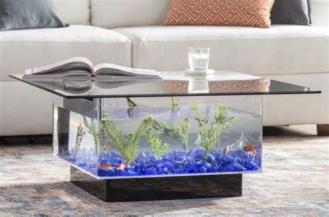 Best Aquarium Coffee Tables - Trendy Home Interiors