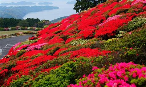 Sasebo 2021: Best of Sasebo, Japan Tourism - Tripadvisor