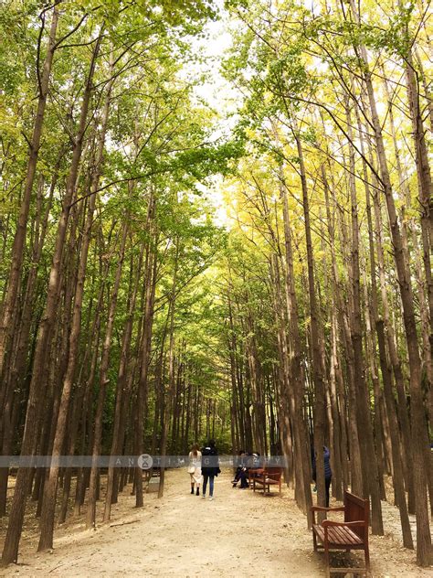 Seoul Forest Park::Resort – AnYtime Gallery