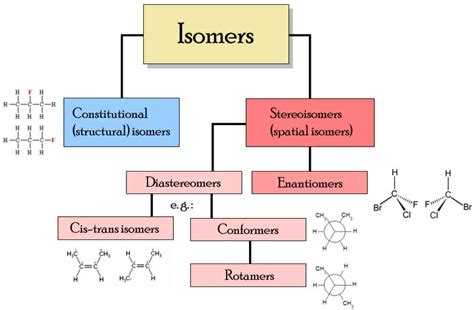 Isomer - Definition, Types, Example and Quiz | Biology Dictionary