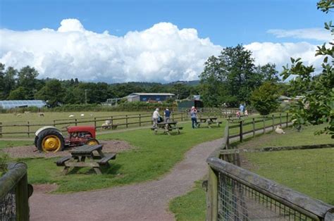 Reconstruction work begins at farm park after flood damage – Caerphilly Observer