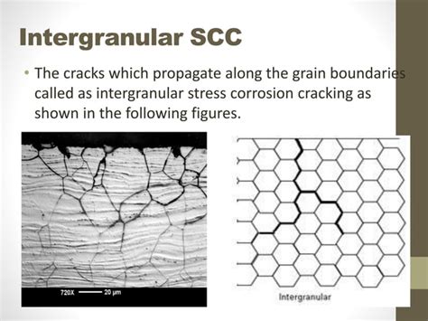 Stress corrosion cracking | PPT