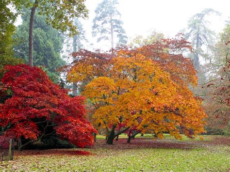 The Westonbirt Arboretum — Contours Walking Holidays