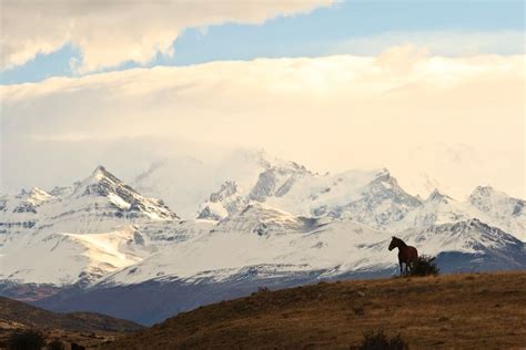 Everything You Need To Know About El Calafate Weather