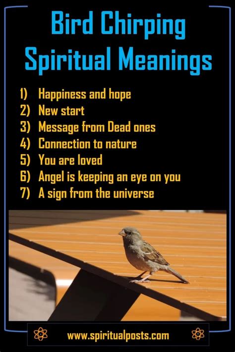 6 Spiritual Meanings of Bird Chirping Outside My Window | Spiritual Posts