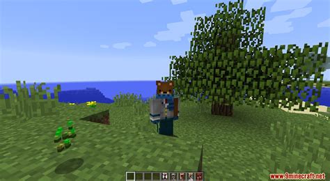 My Hero Academia Mod 1.12.2 - 9Minecraft.Net