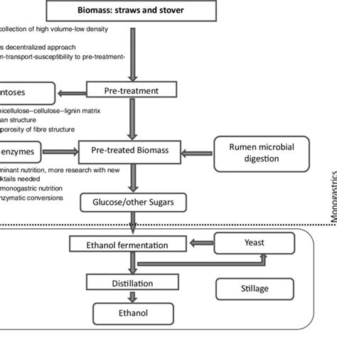 Process steps in second-generation biofuel technology of interest to... | Download Scientific ...