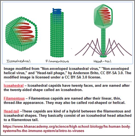 Threesology Research Journal