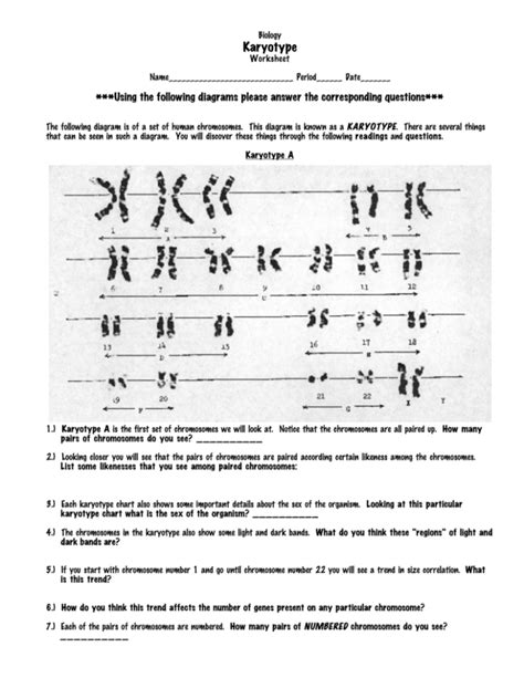 Karyotype Worksheet Answer Key — db-excel.com