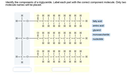 Solved Identify the components of a triglyceride. Label each | Chegg.com