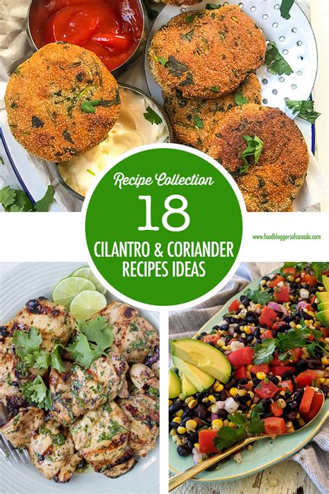 18 Cilantro and Coriander Recipes | Food Bloggers of Canada