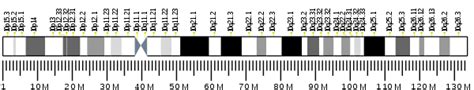 Pancreatic polypeptide receptor 1 - Wikipedia