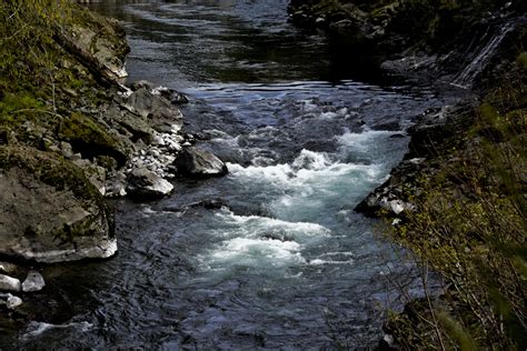 Dark River Background Free Stock Photo - Public Domain Pictures